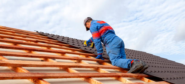 Best Metal Roofing Installation  in Memphis, TN