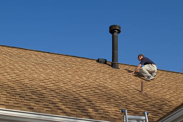 Best Roof Moss and Algae Removal  in Memphis, TN